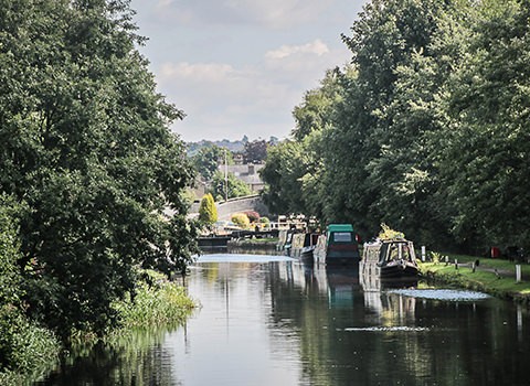 Shepley marina