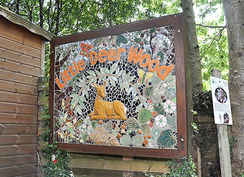 little deer wood thumb