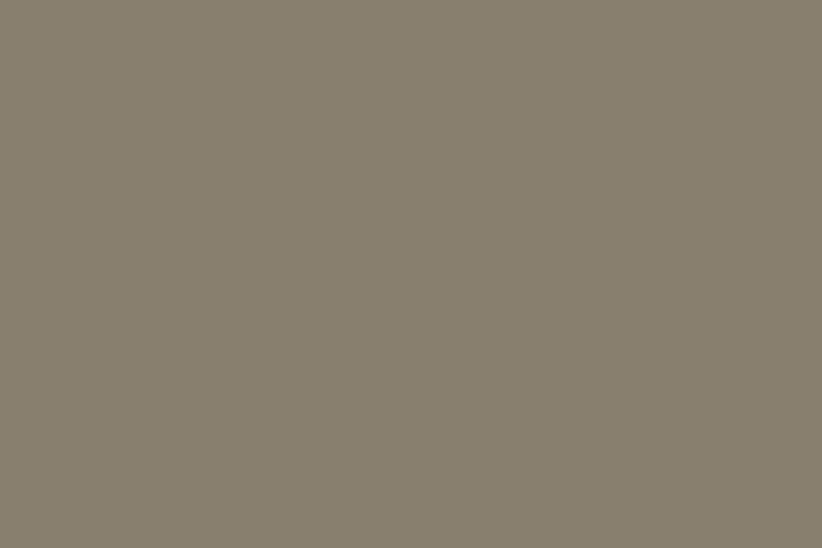 French Taupe French Taupe