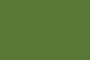 Woodland Woodland