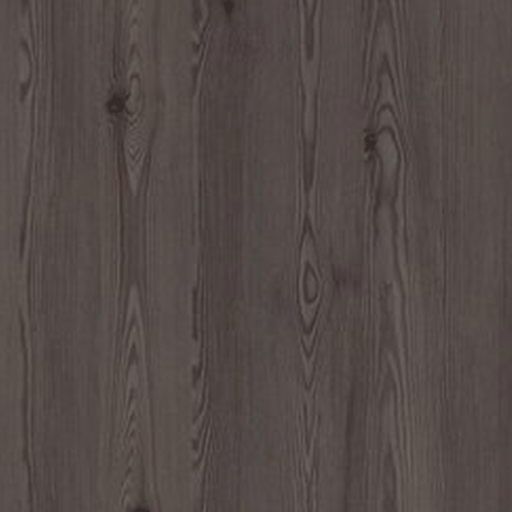 Anthracite_Mountain_Larch-H3406 Anthracite Mountain Larch