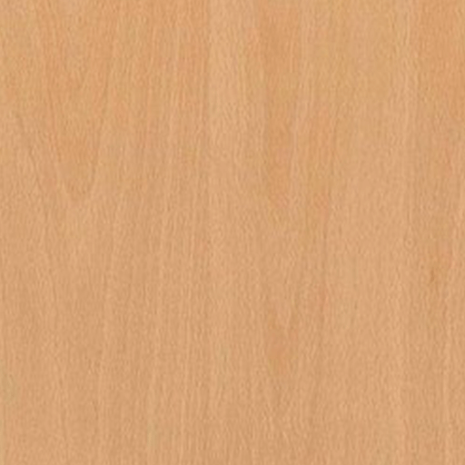 Ellmau_Beech-H1582