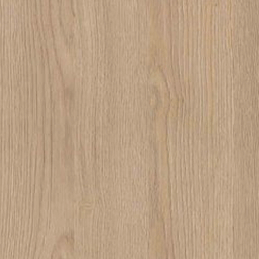 Sand_Gladstone_Oak-H3309