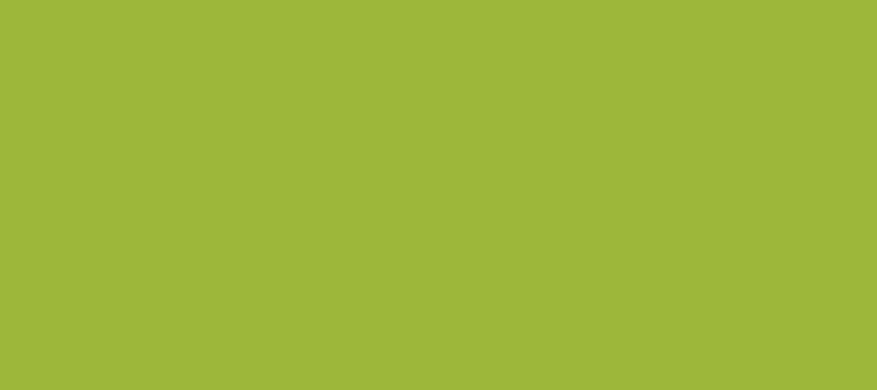 HPL Lime Color